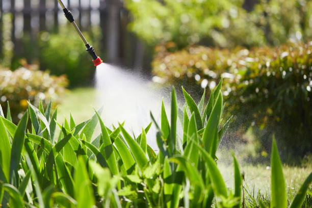 Tamper-Resistant Bait Stations for Rodents in Linda