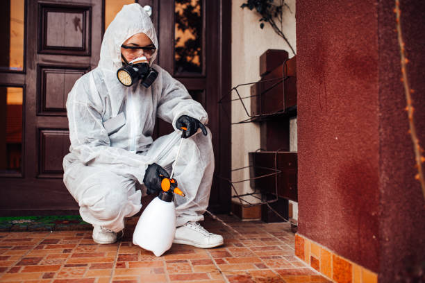Attic and Crawl Space Rodent Treatment in Linda
